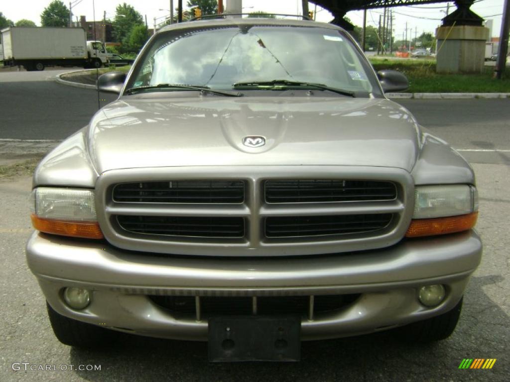 2001 Durango SLT 4x4 - Bright Platinum Metallic / Dark Slate Gray photo #15