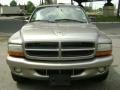 2001 Bright Platinum Metallic Dodge Durango SLT 4x4  photo #15