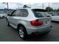 Titanium Silver Metallic - X5 3.0si Photo No. 5