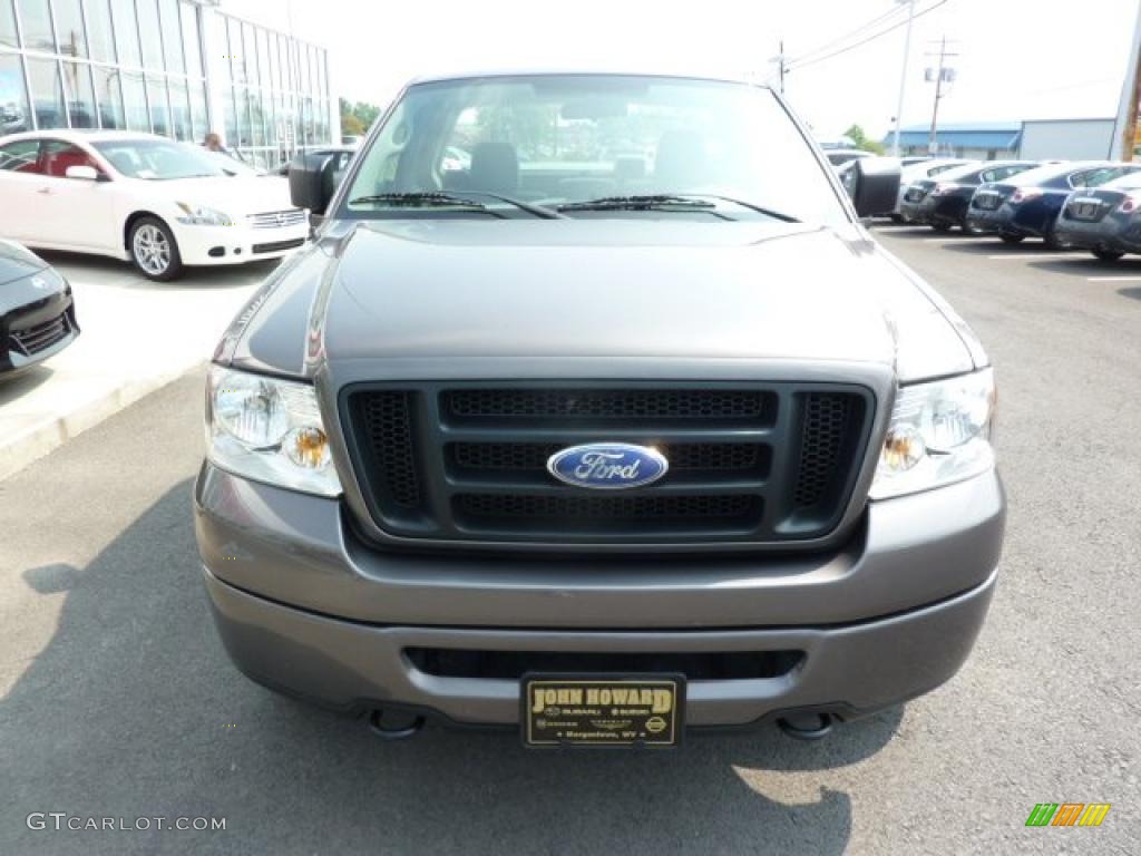 2006 F150 STX Regular Cab 4x4 - Dark Shadow Grey Metallic / Medium Flint photo #11