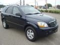 2008 Midnight Blue Kia Sorento LX  photo #7