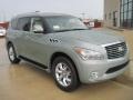 Mountain Sage - QX 56 Photo No. 2