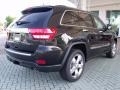 2011 Brilliant Black Crystal Pearl Jeep Grand Cherokee Overland  photo #3