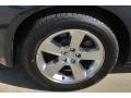 Steel Blue Metallic - Charger SXT Photo No. 9