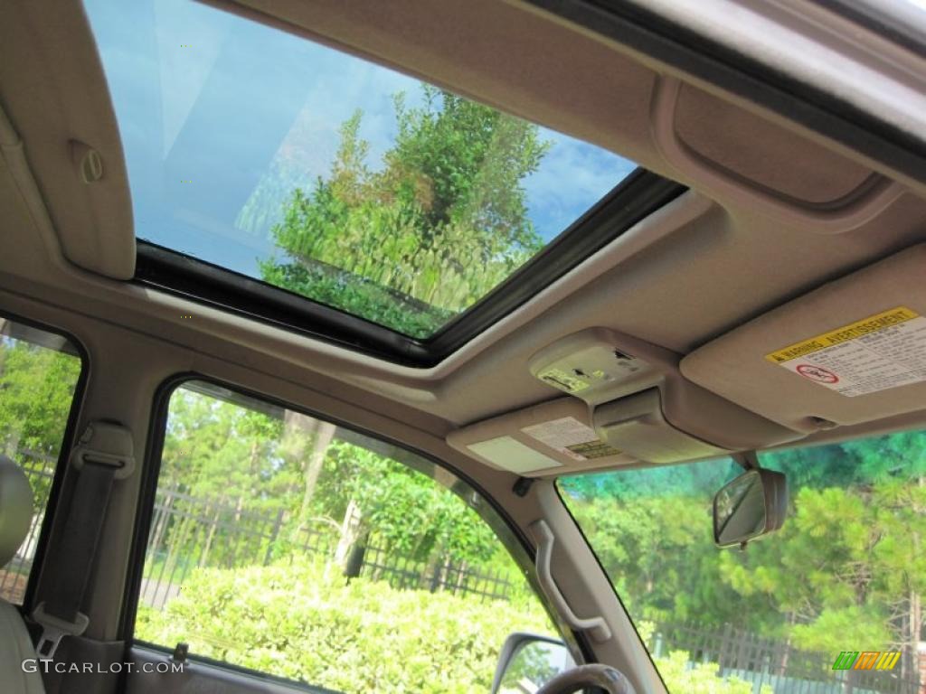 1999 4Runner Limited 4x4 - Desert Dune Metallic / Oak photo #21