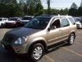 Sahara Sand Metallic - CR-V SE 4WD Photo No. 20