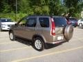 Sahara Sand Metallic - CR-V SE 4WD Photo No. 22