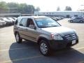 Sahara Sand Metallic - CR-V EX 4WD Photo No. 1