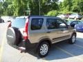 Sahara Sand Metallic - CR-V EX 4WD Photo No. 2
