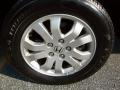Sahara Sand Metallic - CR-V EX 4WD Photo No. 12