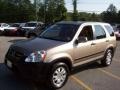 Sahara Sand Metallic - CR-V EX 4WD Photo No. 20