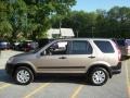 Sahara Sand Metallic - CR-V EX 4WD Photo No. 21