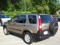 Sahara Sand Metallic - CR-V EX 4WD Photo No. 22