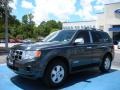 2008 Black Pearl Slate Metallic Ford Escape XLS  photo #1