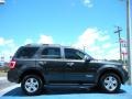 2008 Black Pearl Slate Metallic Ford Escape XLS  photo #6