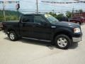 2004 Black Ford F150 XLT SuperCrew 4x4  photo #8