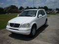 Polar White - ML 320 4Matic Photo No. 2