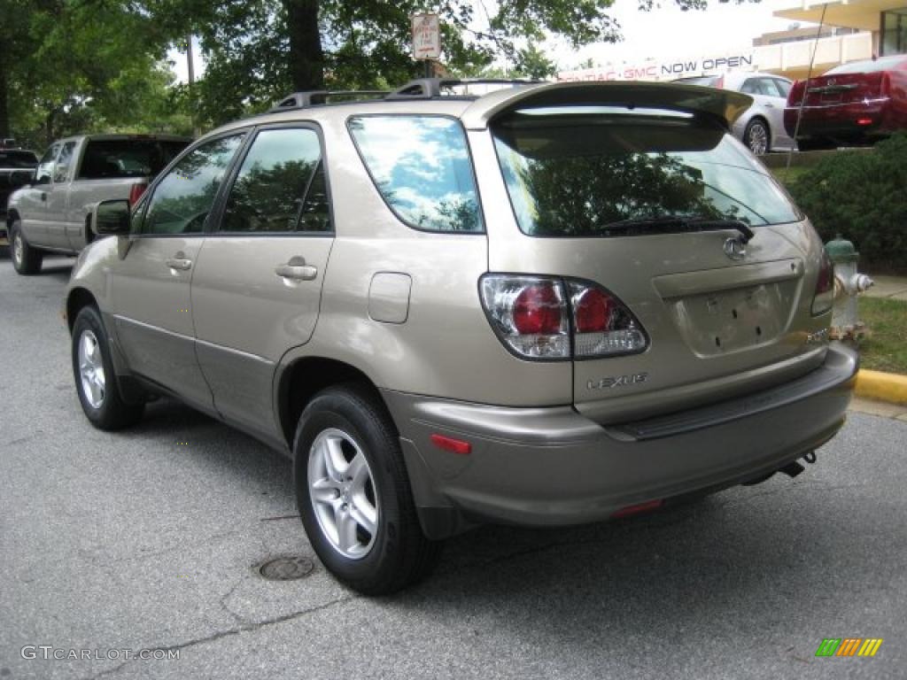 2001 RX 300 - Burnished Gold Metallic / Ivory photo #2