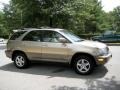 2001 Burnished Gold Metallic Lexus RX 300  photo #5
