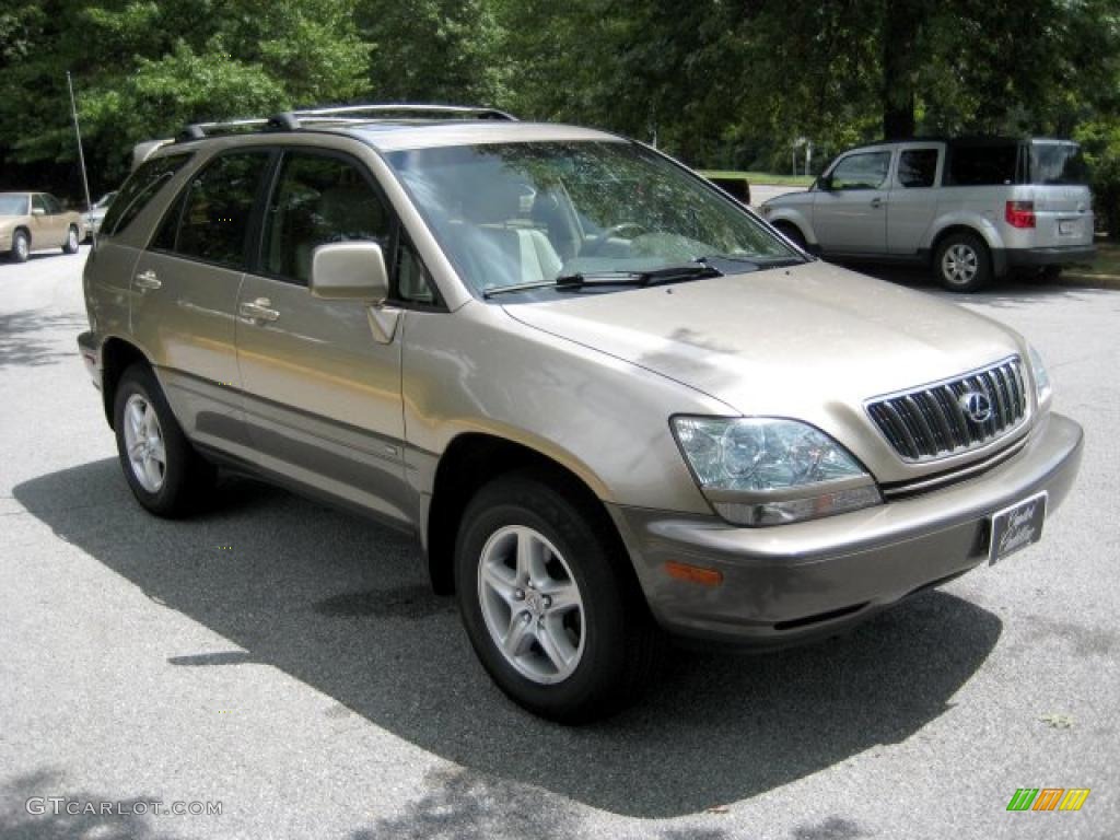 2001 RX 300 - Burnished Gold Metallic / Ivory photo #6