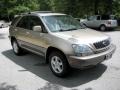 2001 Burnished Gold Metallic Lexus RX 300  photo #6