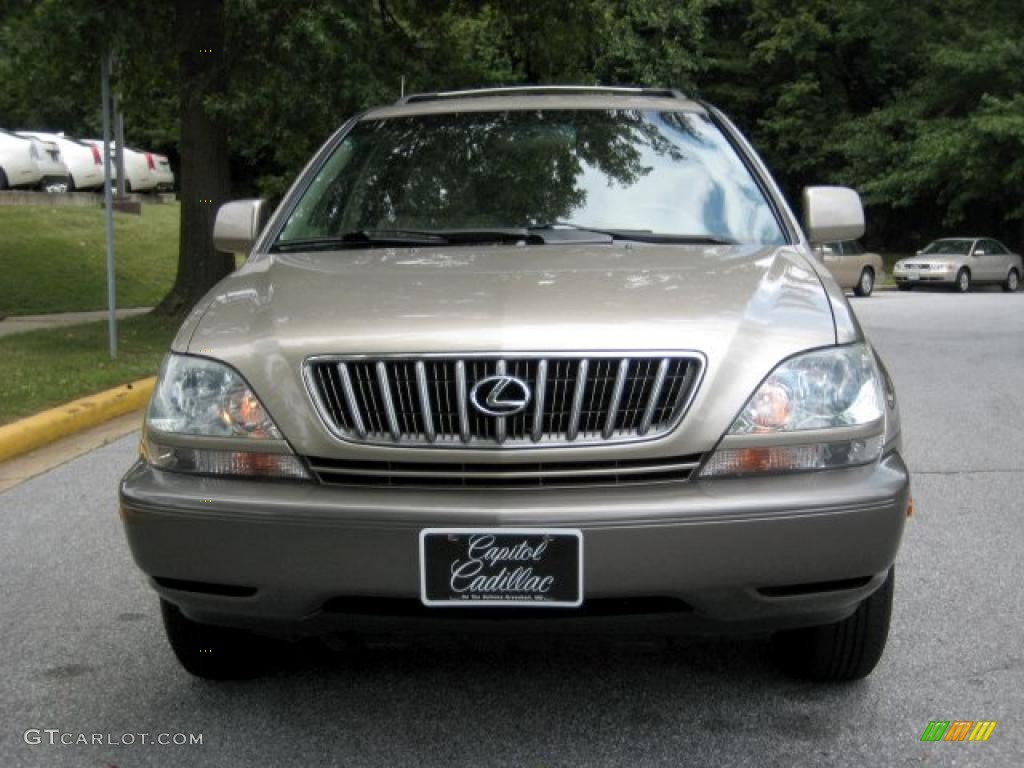 2001 RX 300 - Burnished Gold Metallic / Ivory photo #7