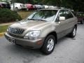 2001 Burnished Gold Metallic Lexus RX 300  photo #8