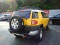 Sun Fusion - FJ Cruiser 4WD Photo No. 4