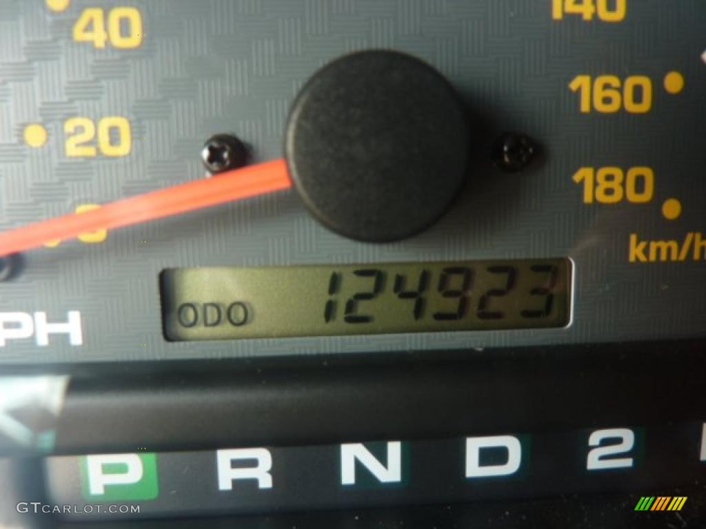 1999 4Runner Limited 4x4 - Millennium Silver Metallic / Oak photo #20