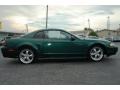 2001 Electric Green Metallic Ford Mustang GT Coupe  photo #10