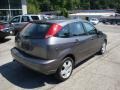 2007 Liquid Grey Metallic Ford Focus ZX5 SES Hatchback  photo #2