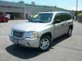 Liquid Silver Metallic - Envoy SLE 4x4 Photo No. 1
