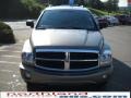 Light Khaki Metallic - Durango Limited 4x4 Photo No. 3
