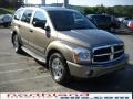 2005 Light Khaki Metallic Dodge Durango Limited 4x4  photo #4