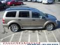 Light Khaki Metallic - Durango Limited 4x4 Photo No. 5