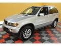 2004 Titanium Silver Metallic BMW X5 3.0i  photo #3