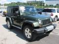 2008 Jeep Green Metallic Jeep Wrangler Sahara 4x4  photo #6