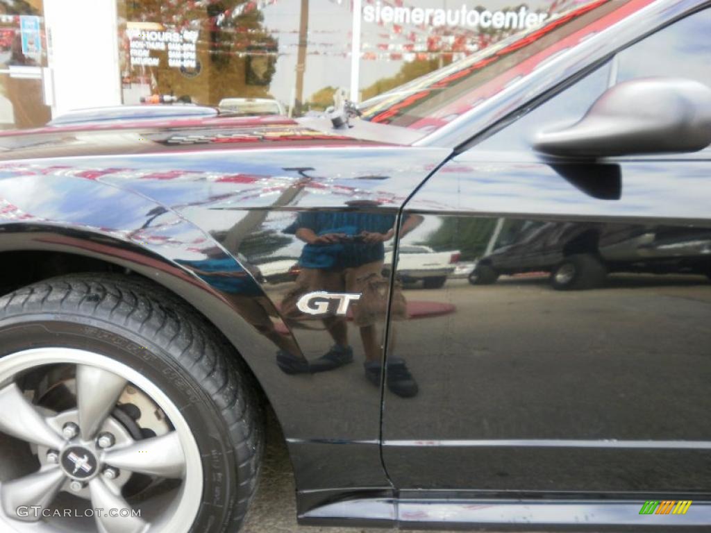 2003 Mustang GT Coupe - Black / Medium Graphite photo #8