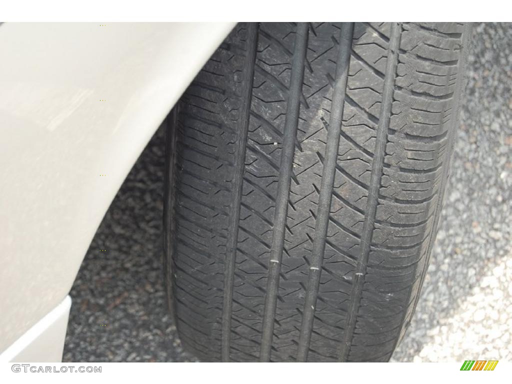 2004 Grand Marquis LS - Silver Birch Metallic / Light Flint photo #18