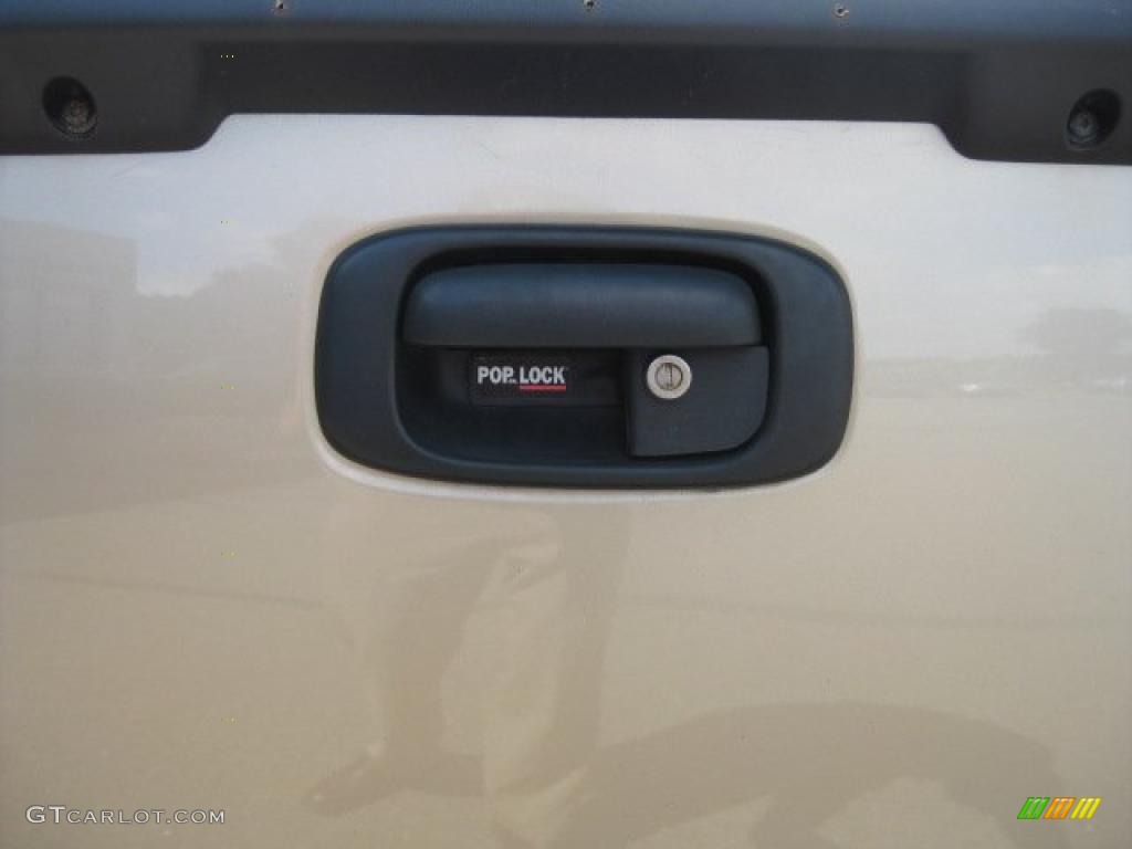 2004 Silverado 1500 Z71 Regular Cab 4x4 - Sandstone Metallic / Tan photo #17