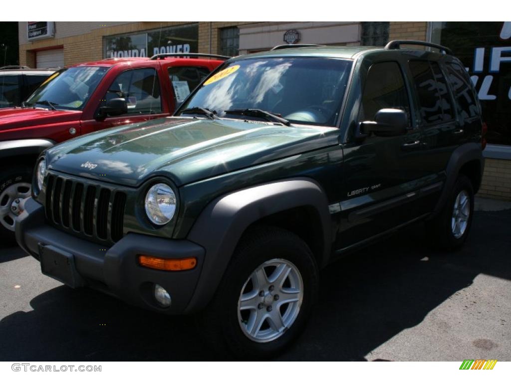 2002 Liberty Sport 4x4 - Shale Green Metallic / Dark Slate Gray photo #1