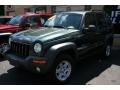 2002 Shale Green Metallic Jeep Liberty Sport 4x4  photo #1