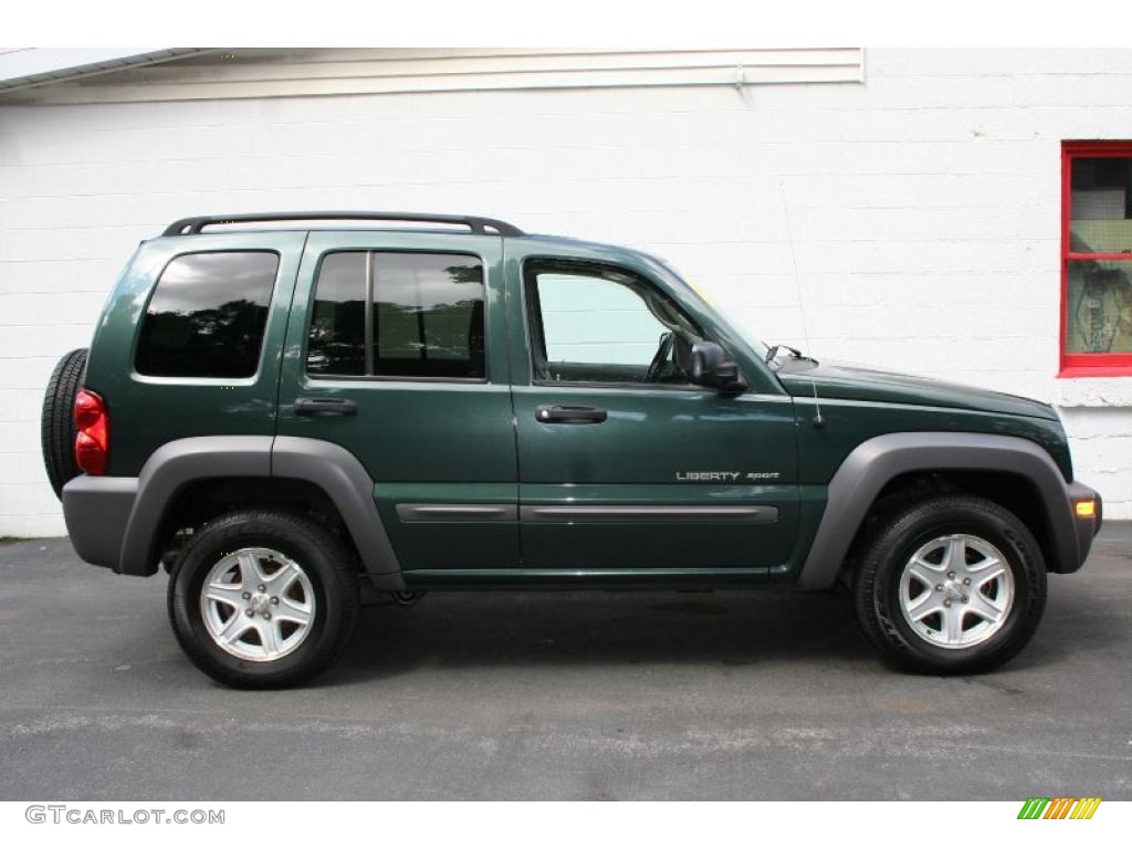 2002 Liberty Sport 4x4 - Shale Green Metallic / Dark Slate Gray photo #7