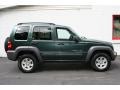 2002 Shale Green Metallic Jeep Liberty Sport 4x4  photo #7