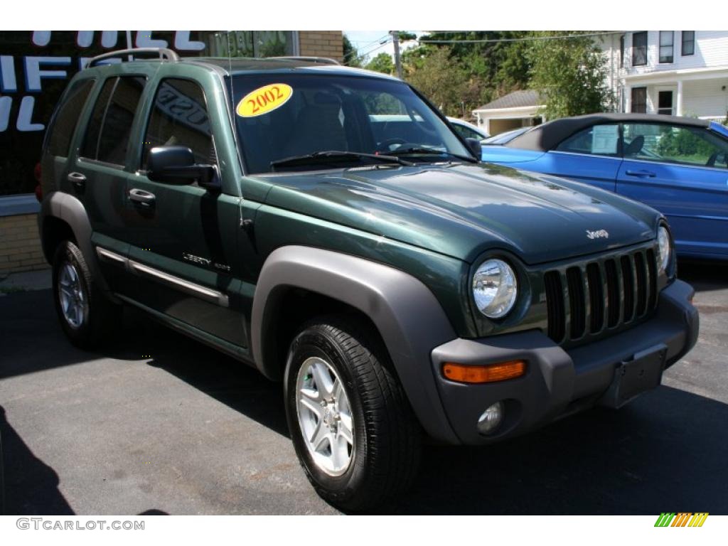 2002 Liberty Sport 4x4 - Shale Green Metallic / Dark Slate Gray photo #28