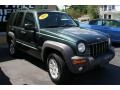2002 Shale Green Metallic Jeep Liberty Sport 4x4  photo #28