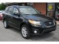 2010 Phantom Black Metallic Hyundai Santa Fe Limited  photo #6