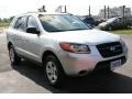 Bright Silver - Santa Fe GLS 4WD Photo No. 10