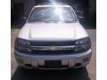 Silverstone Metallic - TrailBlazer LS 4x4 Photo No. 3