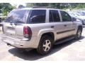 Silverstone Metallic - TrailBlazer LS 4x4 Photo No. 4